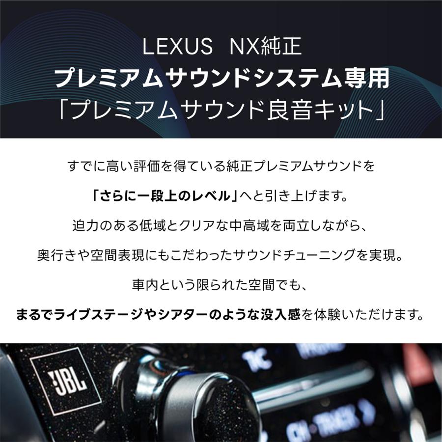 プレミアムサウンド良音キット PSK-T201 レクサス NX専用 TOON Σ