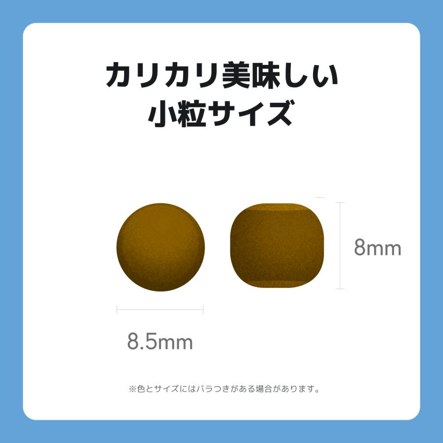 INUMESHI　フィースト　子犬用　大型犬用　15kg　ブリーダーパック |  | 10