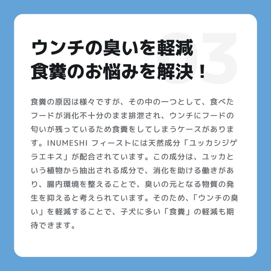 INUMESHI　フィースト　子犬用　大型犬用　15kg　ブリーダーパック |  | 06