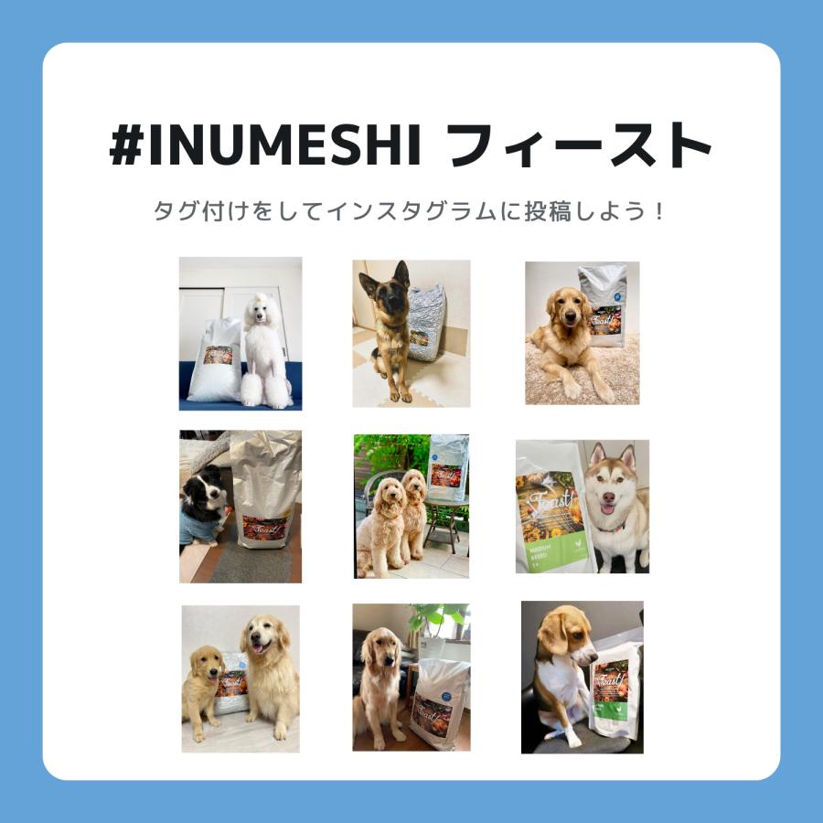 INUMESHI　フィースト　子犬用　大型犬用　15kg　ブリーダーパック |  | 09