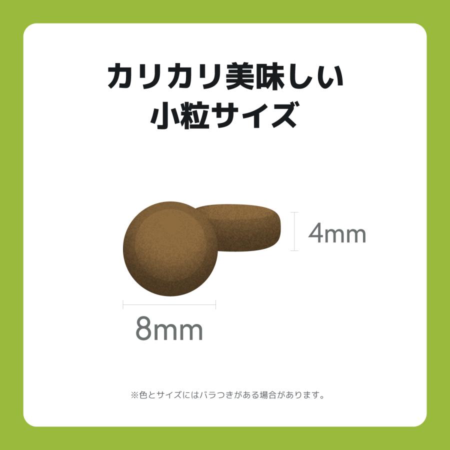 INUMESHI　フィースト　1歳以上　小型犬用　15kg　ブリーダーパック |  | 10