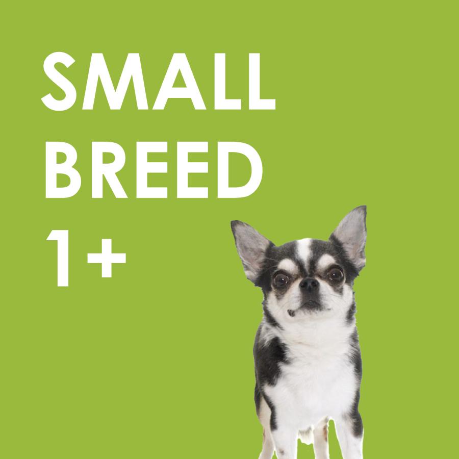 INUMESHI　フィースト　1歳以上　小型犬用　15kg　ブリーダーパック |  | 11