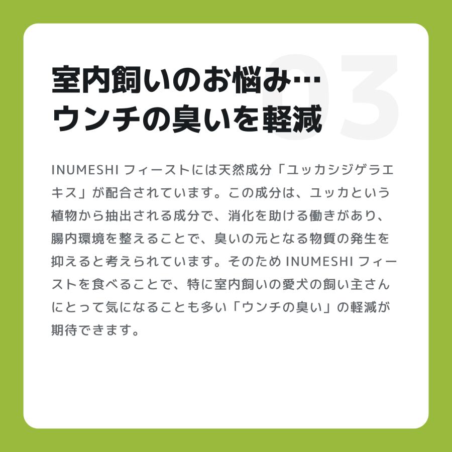 INUMESHI　フィースト　1歳以上　小型犬用　15kg　ブリーダーパック |  | 06