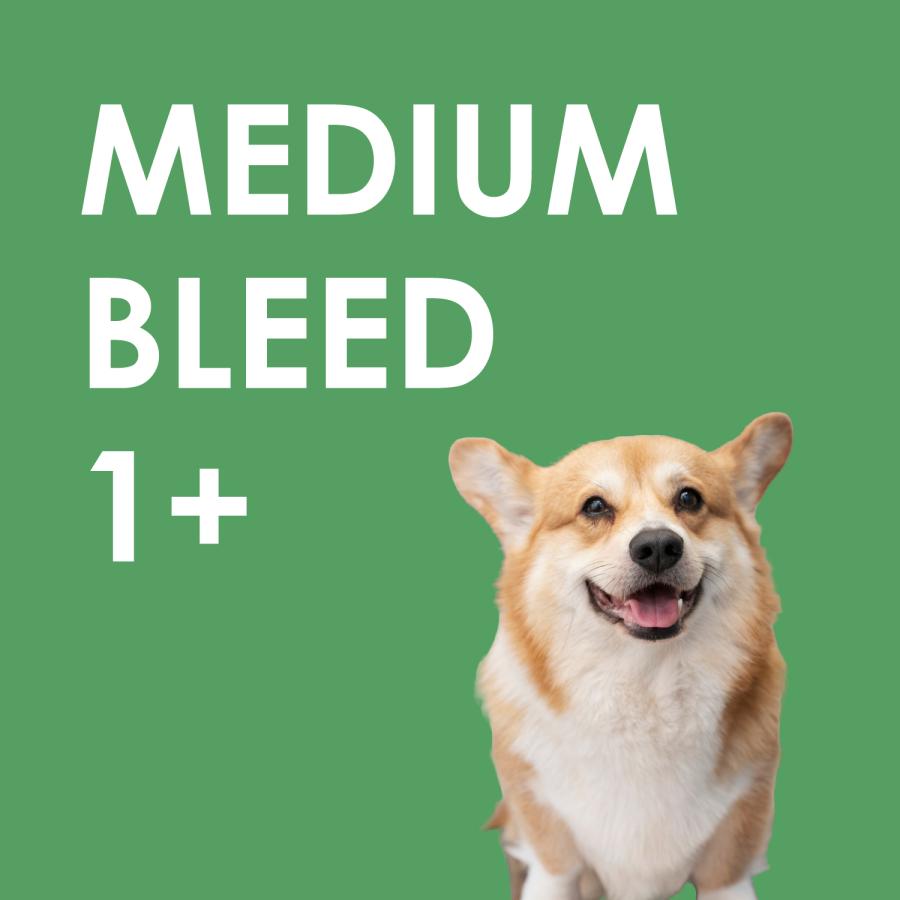 INUMESHI　フィースト　1歳以上　中型犬用　15kg　ブリーダーパック |  | 11