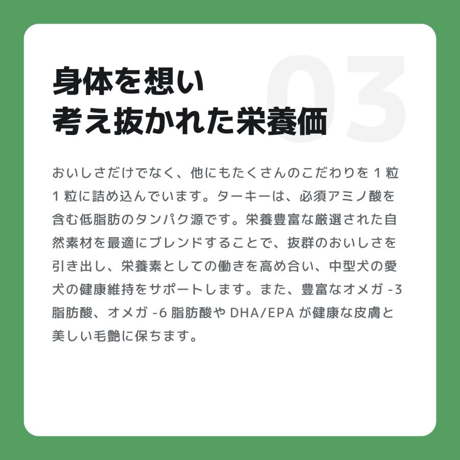 INUMESHI　フィースト　1歳以上　中型犬用　15kg　ブリーダーパック |  | 06