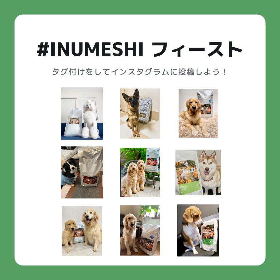 INUMESHI　フィースト　1歳以上　中型犬用　15kg　ブリーダーパック |  | 09