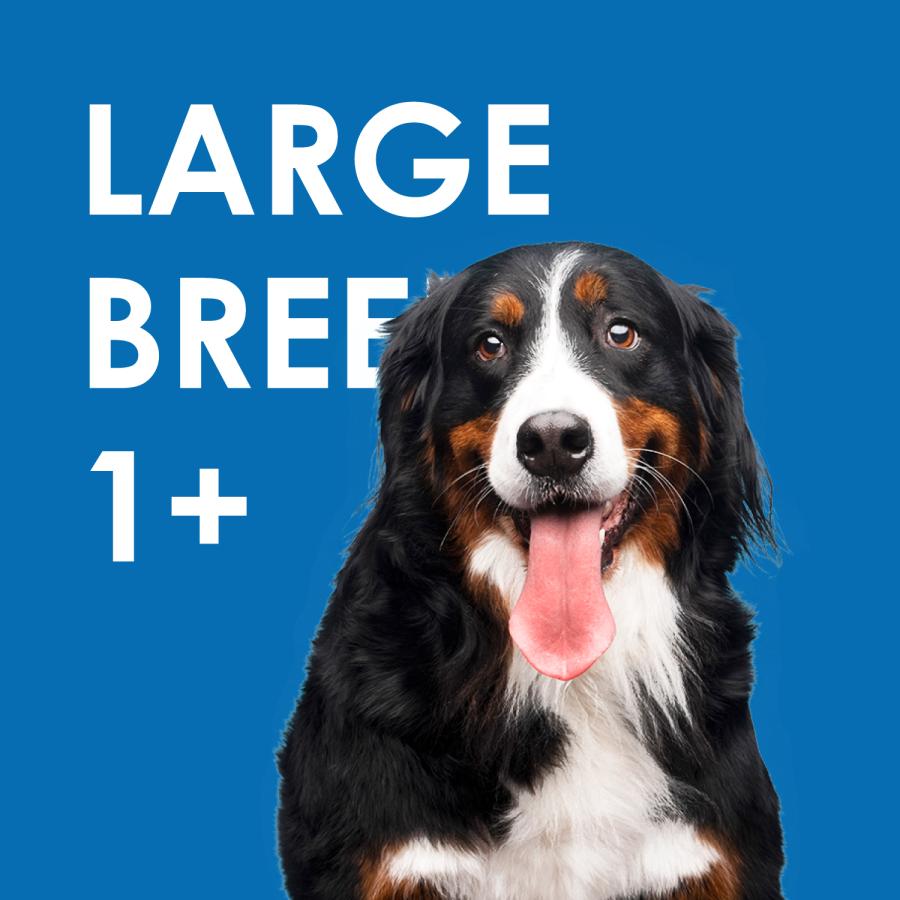 INUMESHI　フィースト　1歳以上　大型犬用　15kg　ブリーダーパック |  | 11