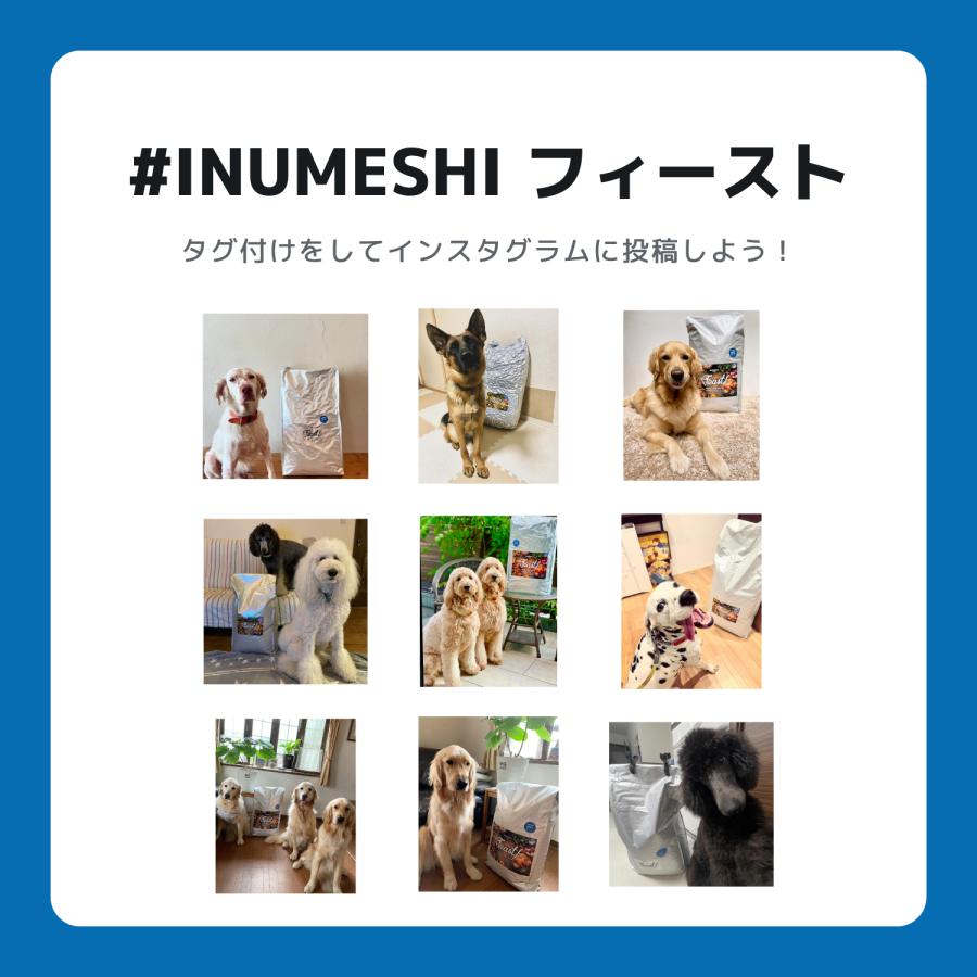 INUMESHI　フィースト　1歳以上　大型犬用　15kg　ブリーダーパック |  | 09