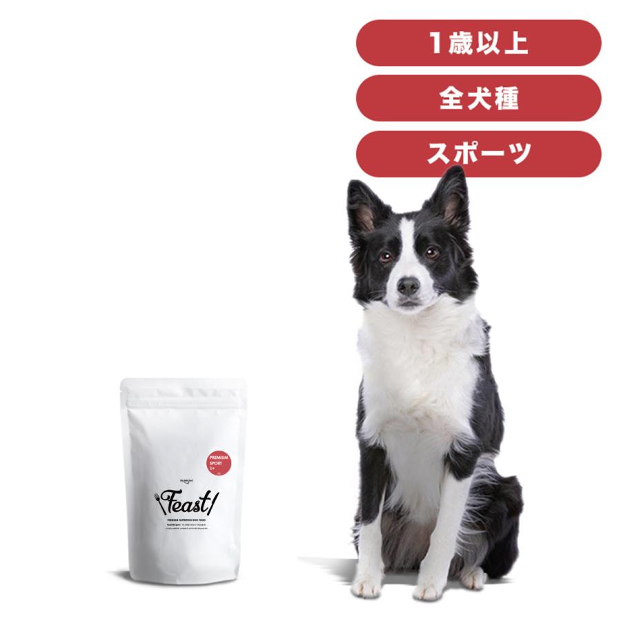 INUMESHI　フィースト　プレミアム　スポーツ　1歳以上　活発犬用　1kg | 