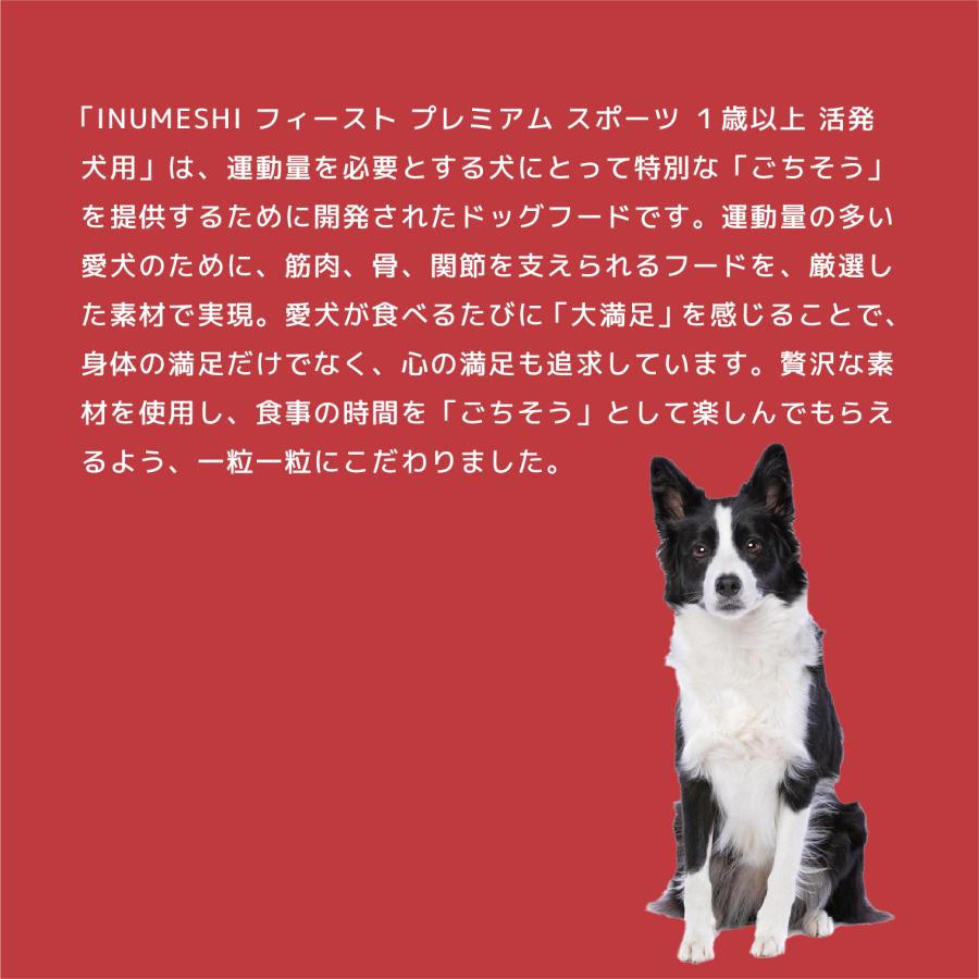 INUMESHI　フィースト　プレミアム　スポーツ　1歳以上　活発犬用　1kg |  | 02
