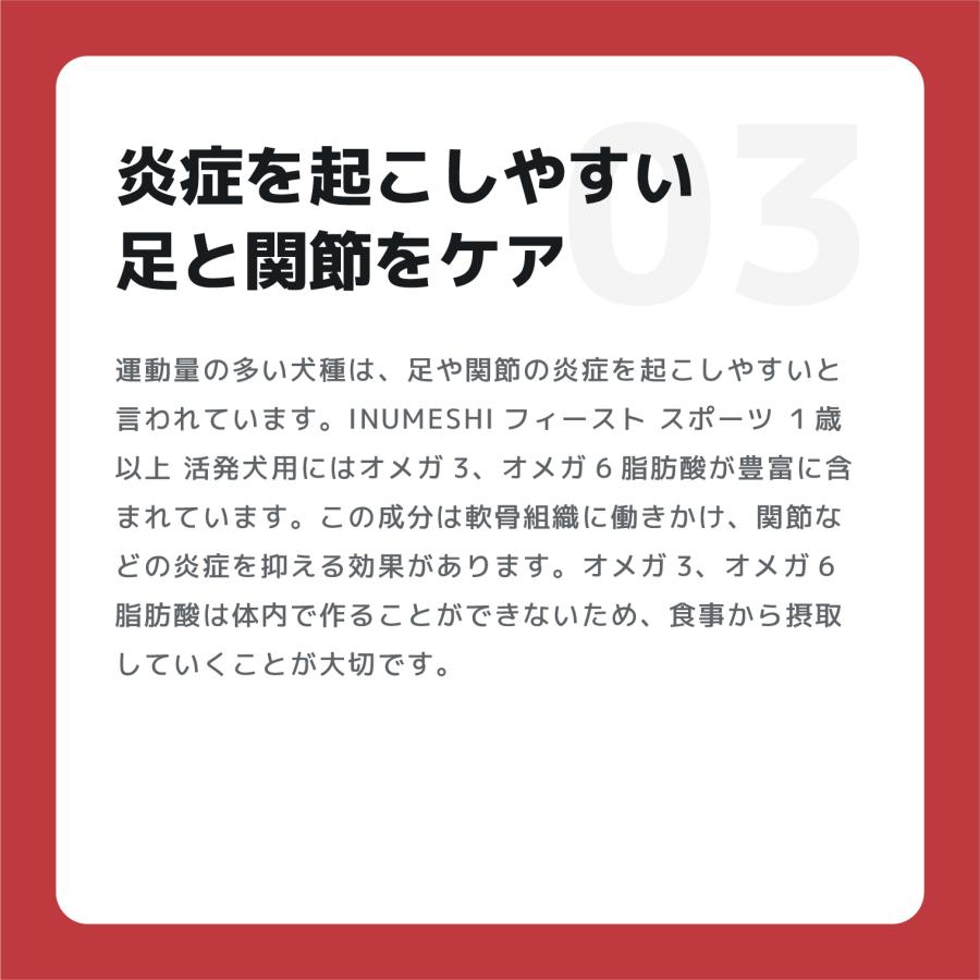 INUMESHI　フィースト　プレミアム　スポーツ　1歳以上　活発犬用　1kg |  | 06