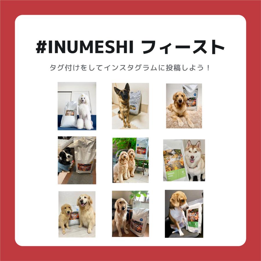INUMESHI　フィースト　プレミアム　スポーツ　1歳以上　活発犬用　1kg |  | 09