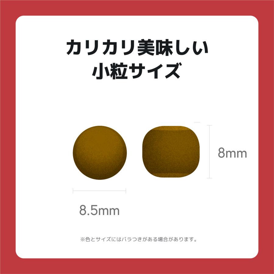 INUMESHI　フィースト　プレミアム　スポーツ　1歳以上　活発犬用　15kg　ブリーダーパック |  | 10