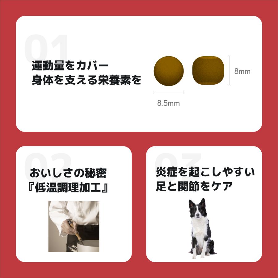 INUMESHI　フィースト　プレミアム　スポーツ　1歳以上　活発犬用　15kg　ブリーダーパック |  | 03