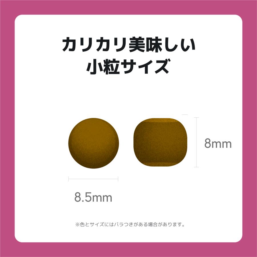 INUMESHI　フィースト　プレミアム　パフォーマンス　1歳以上　活発犬用　15kg　ブリーダーパック |  | 10