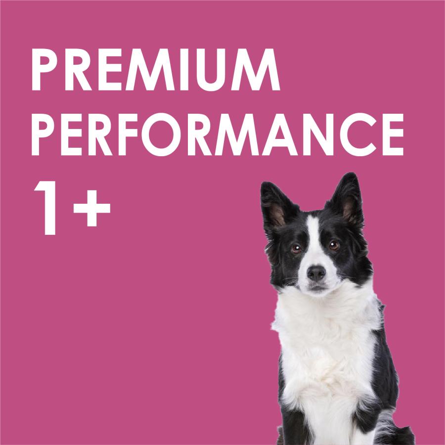 INUMESHI　フィースト　プレミアム　パフォーマンス　1歳以上　活発犬用　15kg　ブリーダーパック |  | 11