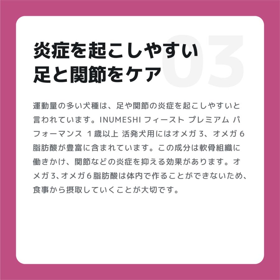 INUMESHI　フィースト　プレミアム　パフォーマンス　1歳以上　活発犬用　15kg　ブリーダーパック |  | 06