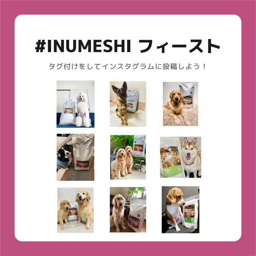 INUMESHI　フィースト　プレミアム　パフォーマンス　1歳以上　活発犬用　15kg　ブリーダーパック |  | 09