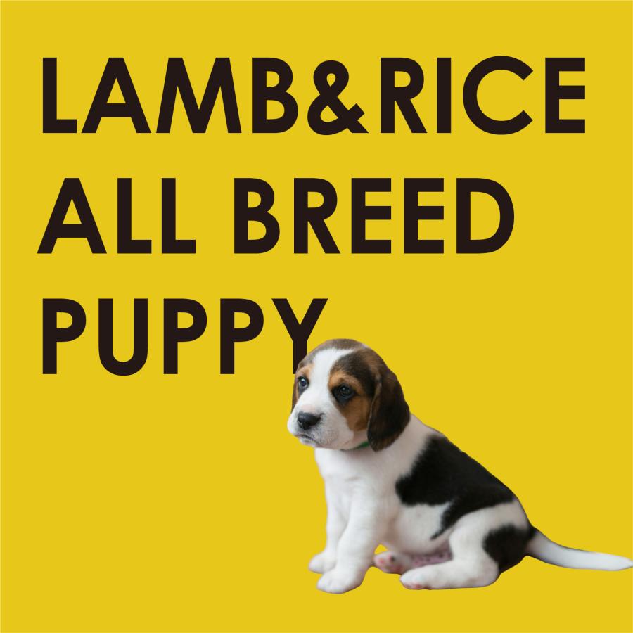 INUMESHI　フィースト　ラム&ライス　子犬用　全犬種用　15kg　ブリーダーパック |  | 11