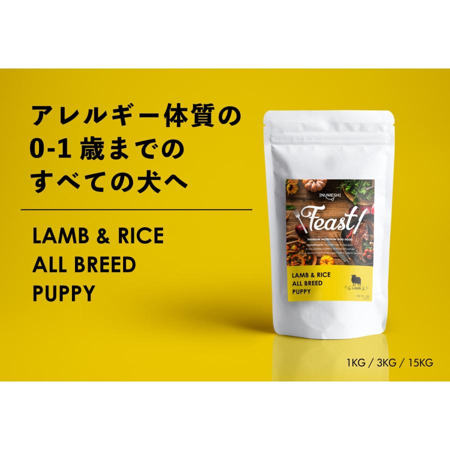 inumesi  フィースト ラム＆ライス 15キロ ブリーダーパック INUMESHI フィースト ラム&ライス 1歳以上 全犬種用 15kg