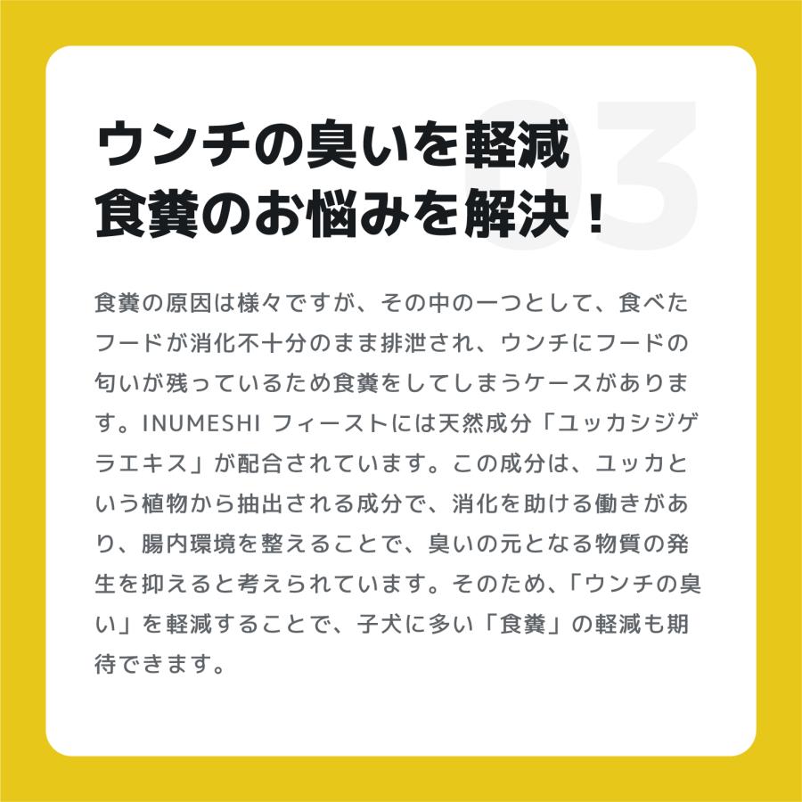 INUMESHI　フィースト　ラム&ライス　子犬用　全犬種用　15kg　ブリーダーパック |  | 06