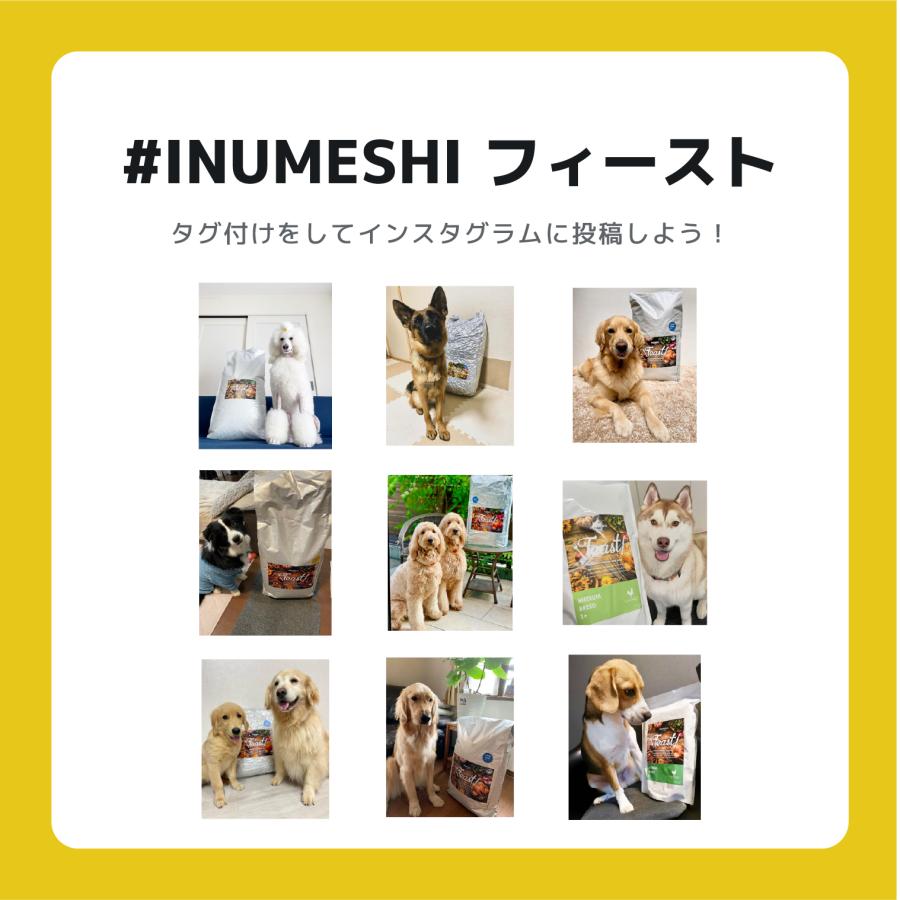 INUMESHI　フィースト　ラム&ライス　子犬用　全犬種用　15kg　ブリーダーパック |  | 09