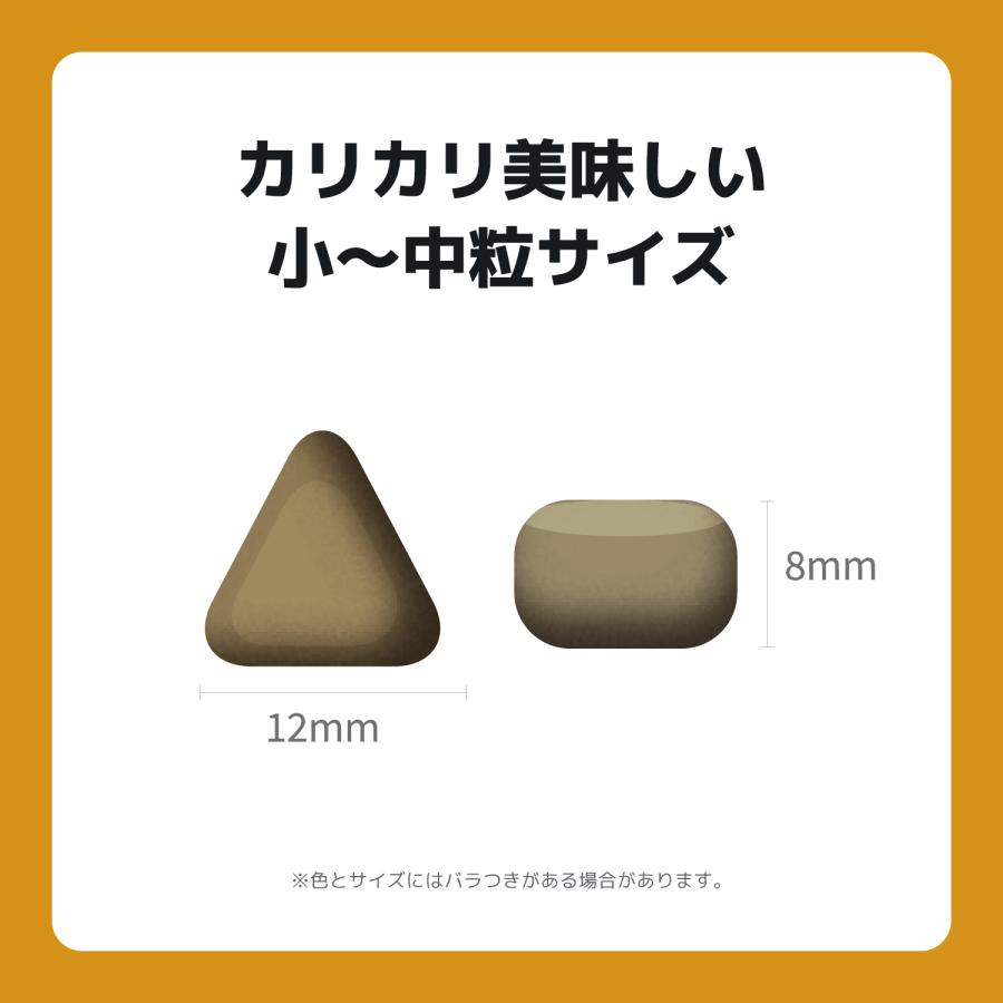 INUMESHI　フィースト　ラム&ライス　1歳以上　小型犬用　15kg　ブリーダーパック |  | 10