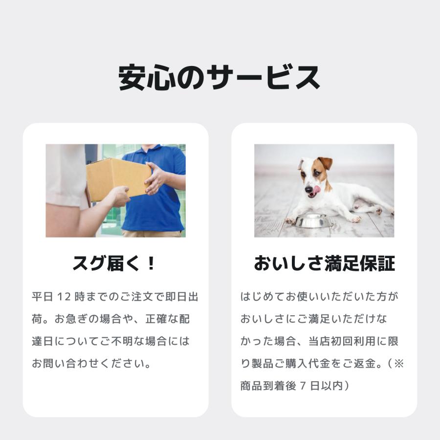 INUMESHI　フィースト　ラム&ライス　1歳以上　小型犬用　15kg　ブリーダーパック |  | 12