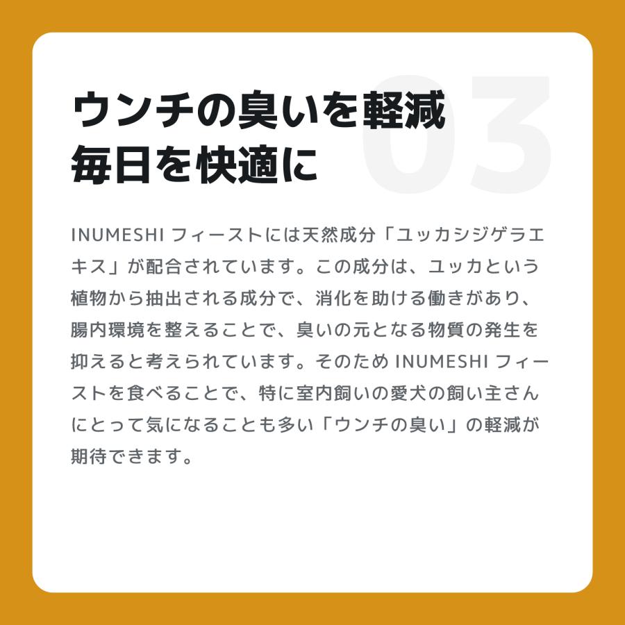 INUMESHI　フィースト　ラム&ライス　1歳以上　小型犬用　15kg　ブリーダーパック |  | 06
