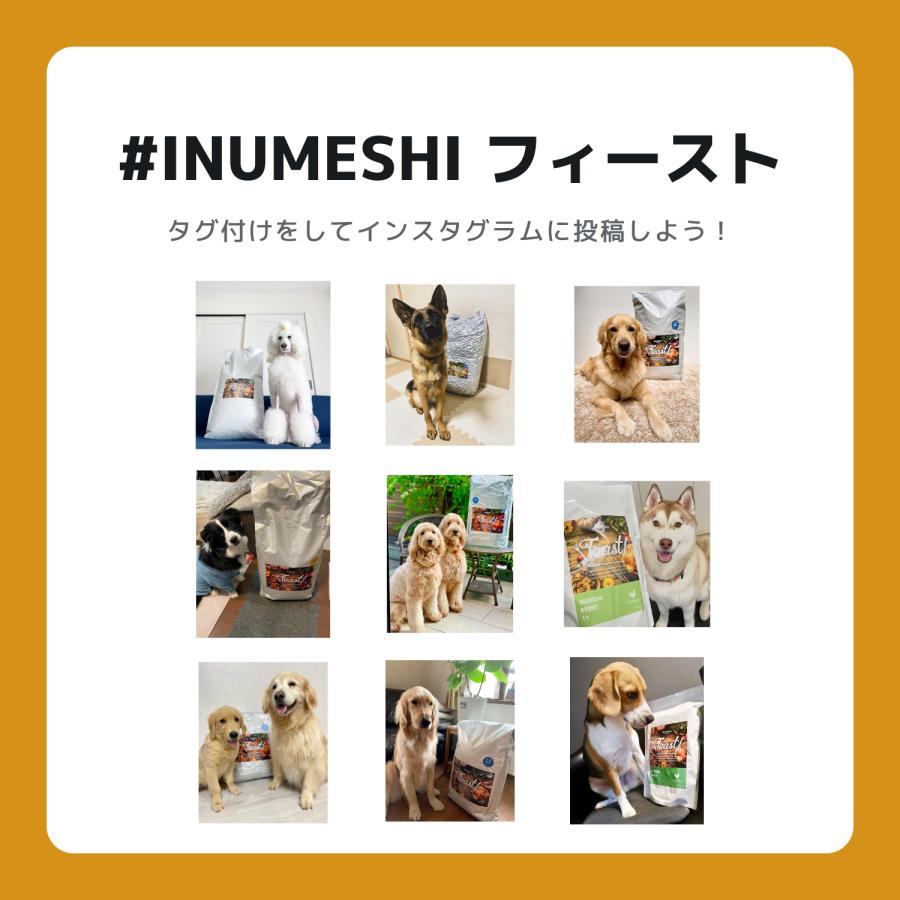 INUMESHI　フィースト　ラム&ライス　1歳以上　小型犬用　15kg　ブリーダーパック |  | 09