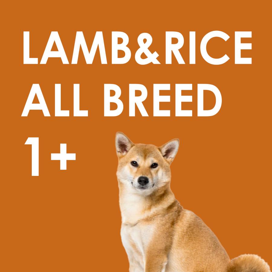 INUMESHI　フィースト　ラム&ライス　1歳以上　全犬種用　15kg　ブリーダーパック |  | 11