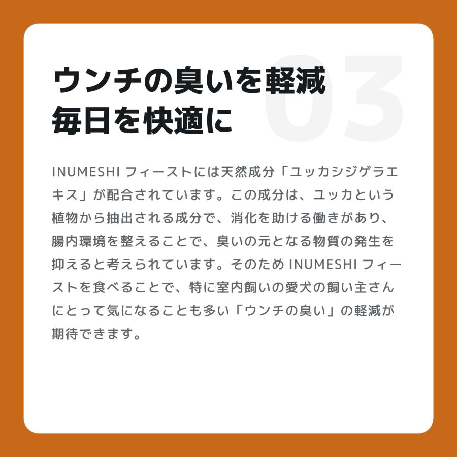 INUMESHI　フィースト　ラム&ライス　1歳以上　全犬種用　15kg　ブリーダーパック |  | 06