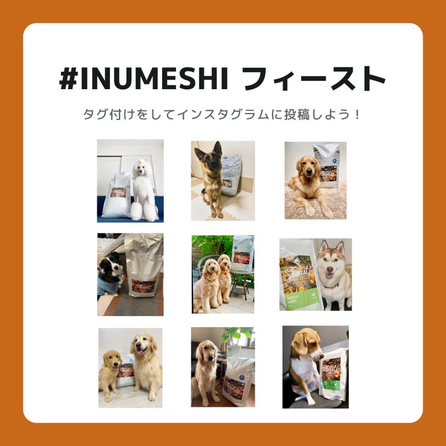 INUMESHI　フィースト　ラム&ライス　1歳以上　全犬種用　15kg　ブリーダーパック |  | 09