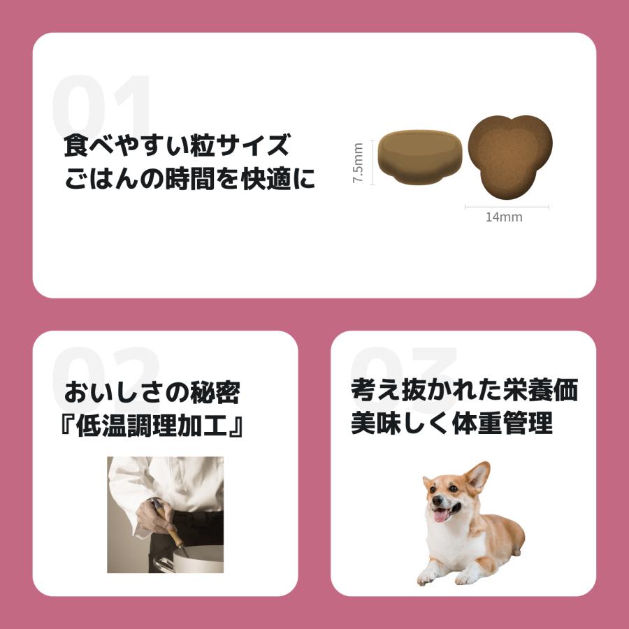 INUMESHI フィースト 体重管理用 1歳以上 全犬種用 15kg ブリーダー