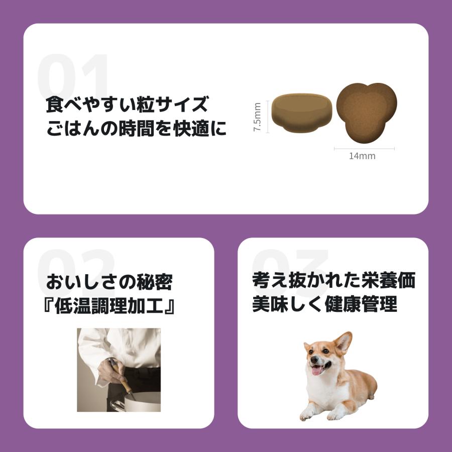 INUMESHI　フィースト　7歳以上　全犬種用　15kg　ブリーダーパック |  | 03