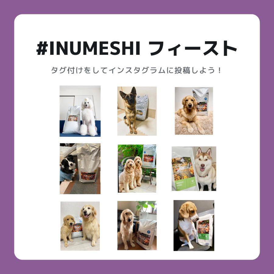 INUMESHI　フィースト　7歳以上　全犬種用　15kg　ブリーダーパック |  | 09