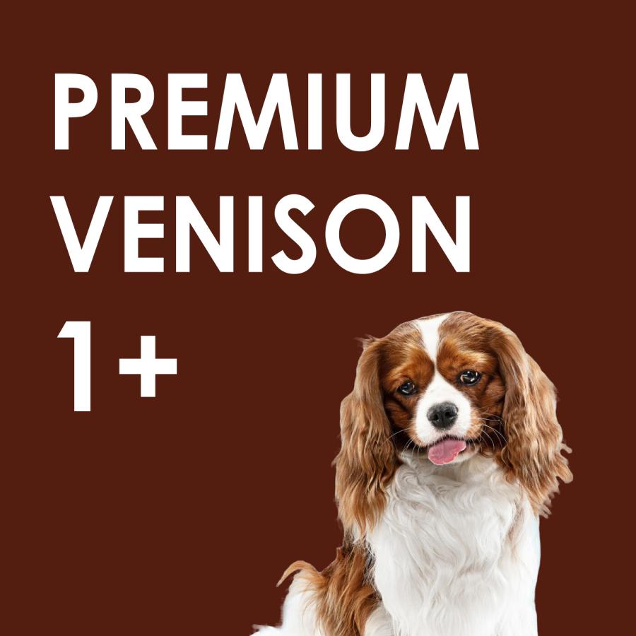 INUMESHI　フィースト　プレミアム　ヴェニソン　成犬用　全犬種用　1歳以上　12kg　ブリーダーパック　穀物不使用 （グレインフリー） |  | 11