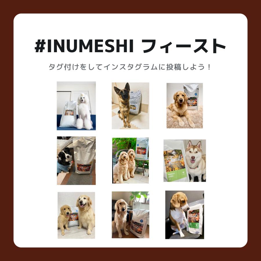 INUMESHI　フィースト　プレミアム　ヴェニソン　成犬用　全犬種用　1歳以上　12kg　ブリーダーパック　穀物不使用 （グレインフリー） |  | 09
