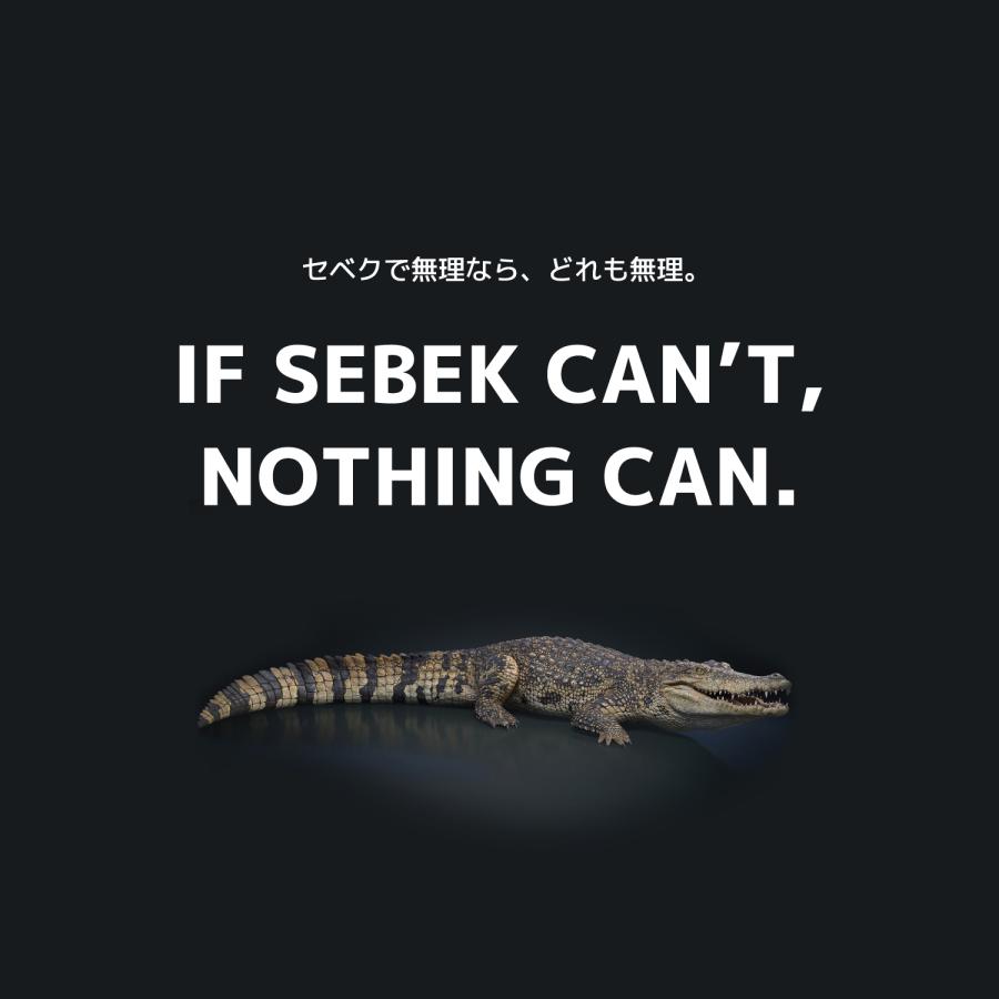 INUMESHI　SEBEK（セベク）　15kg ブリーダーパック ワニ肉　全犬種　全年齢用　穀物不使用 （グレインフリー） ドッグフード |  | 10