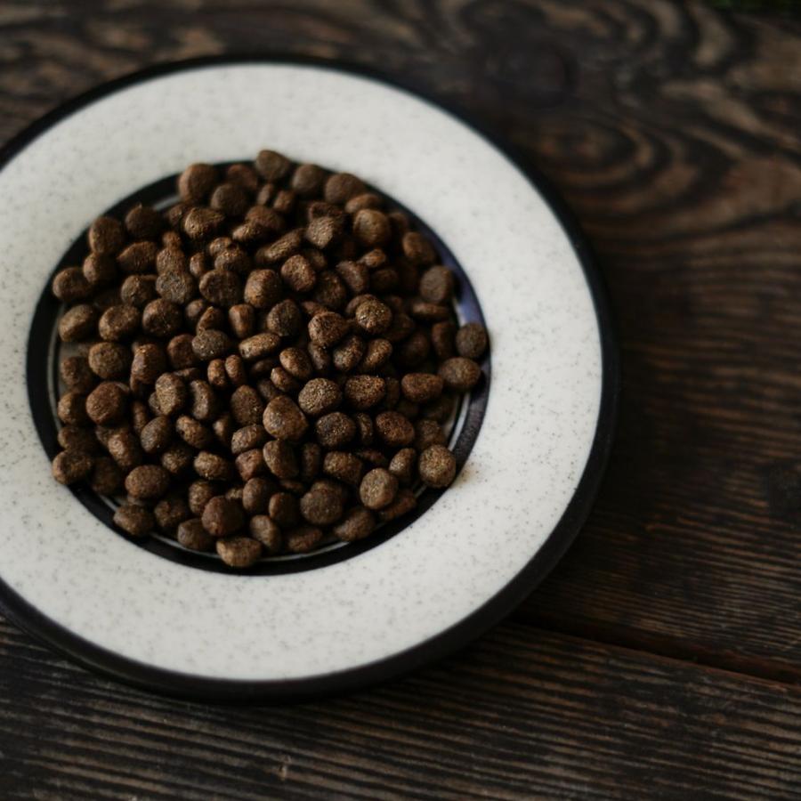 INUMESHI　SEBEK（セベク）　15kg ブリーダーパック ワニ肉　全犬種　全年齢用　穀物不使用 （グレインフリー） ドッグフード INUMESHI セベク ドッグフード