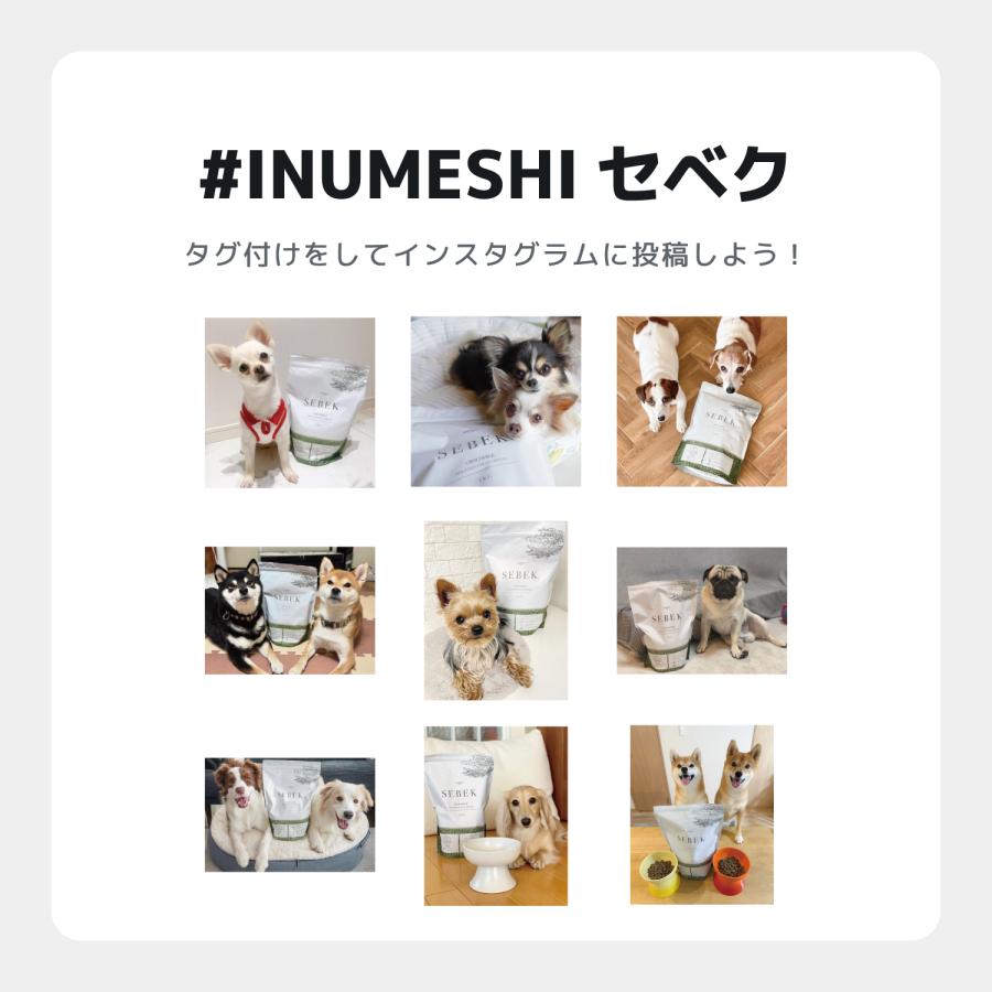 INUMESHI　SEBEK（セベク）　15kg ブリーダーパック ワニ肉　全犬種　全年齢用　穀物不使用 （グレインフリー） ドッグフード |  | 09