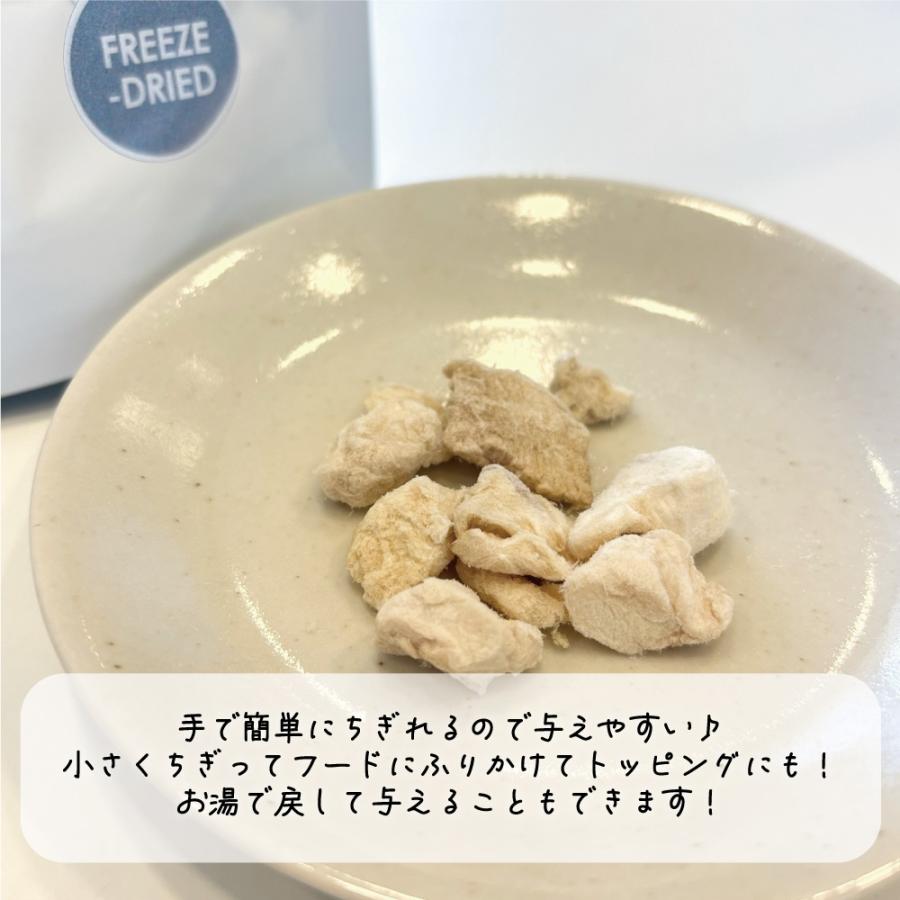 INUMESHI SEBEK（セベク）　トリーツ　クロコダイル　フリーズドライ　20g |  | 01