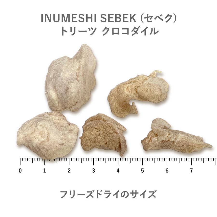 INUMESHI SEBEK（セベク）　トリーツ　クロコダイル　フリーズドライ　20g |  | 02
