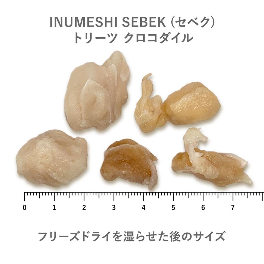 INUMESHI SEBEK（セベク）　トリーツ　クロコダイル　フリーズドライ　20g |  | 03