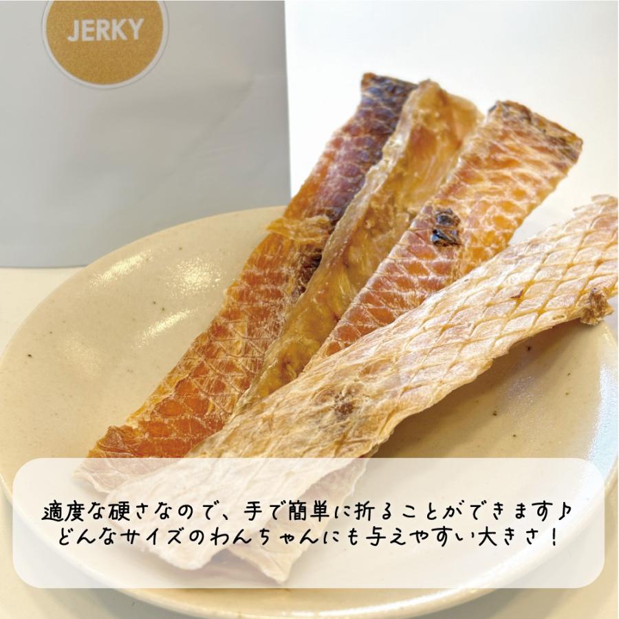 INUMESHI SEBEK（セベク）　トリーツ　クロコダイル　ジャーキー　40g |  | 01