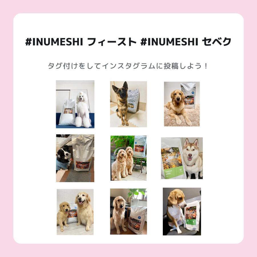 INUMESHI トライアルセット 成犬用 小型犬用 |  | 11