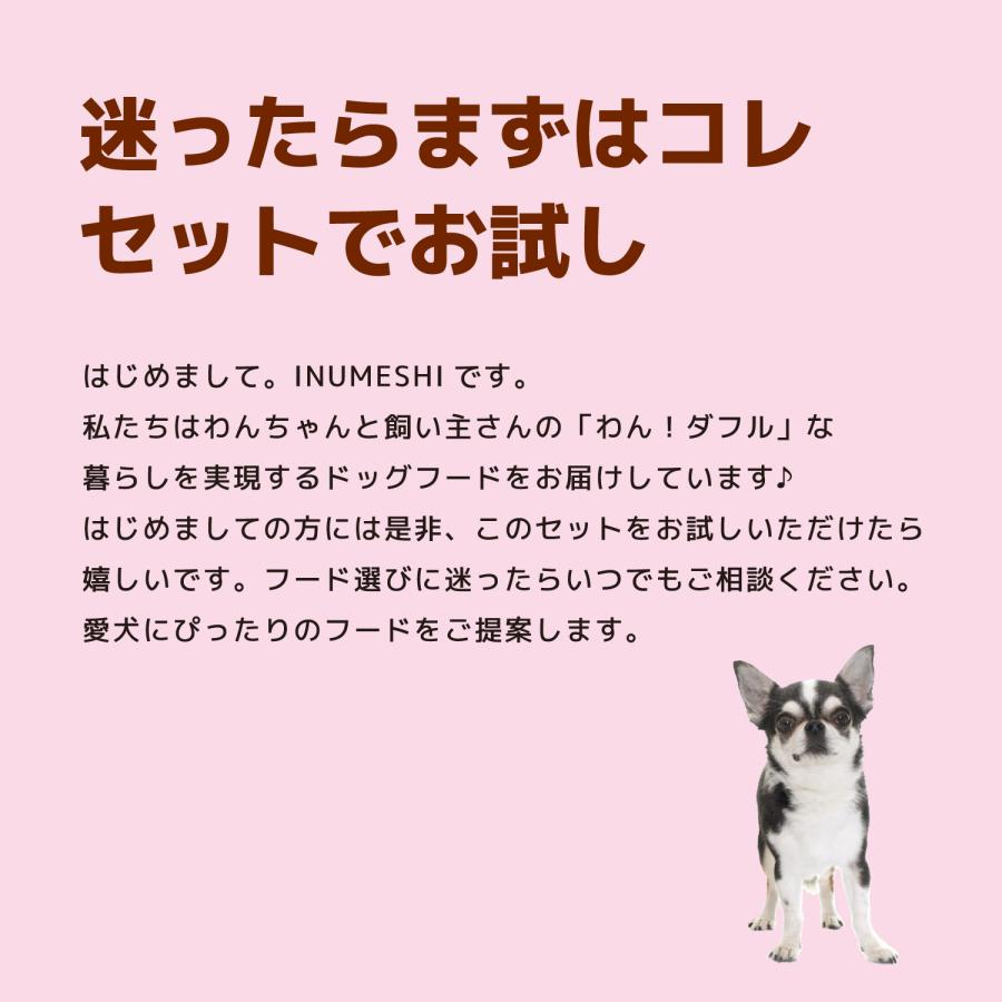 INUMESHI トライアルセット 成犬用 小型犬用 |  | 02