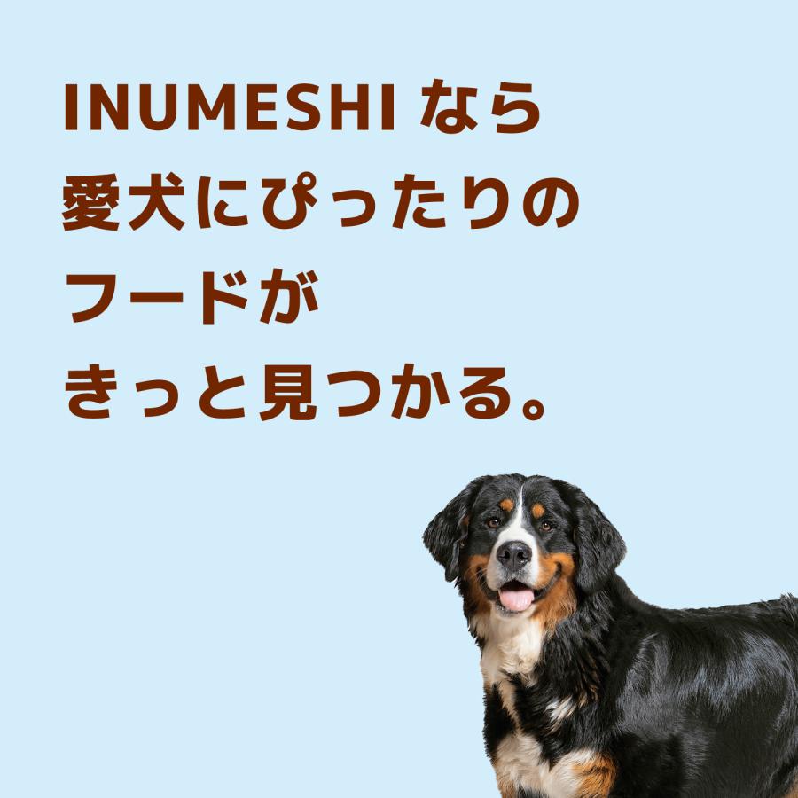 INUMESHI トライアルセット 成犬用 中・大型犬用 |  | 10