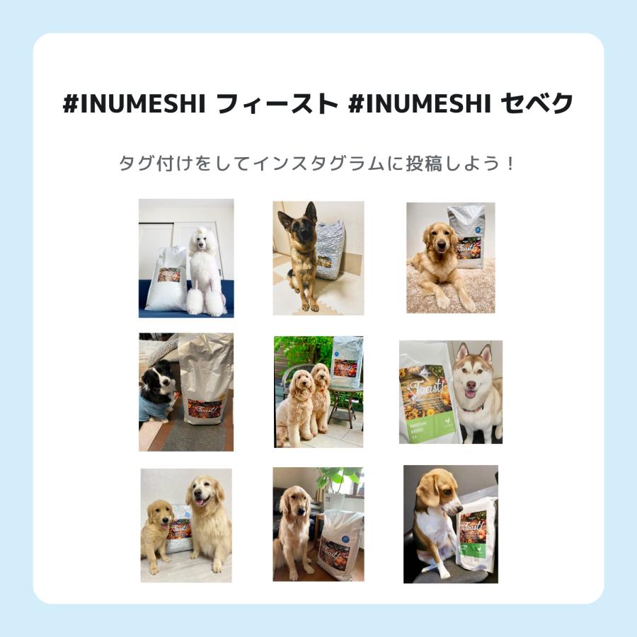 INUMESHI トライアルセット 成犬用 中・大型犬用 |  | 11
