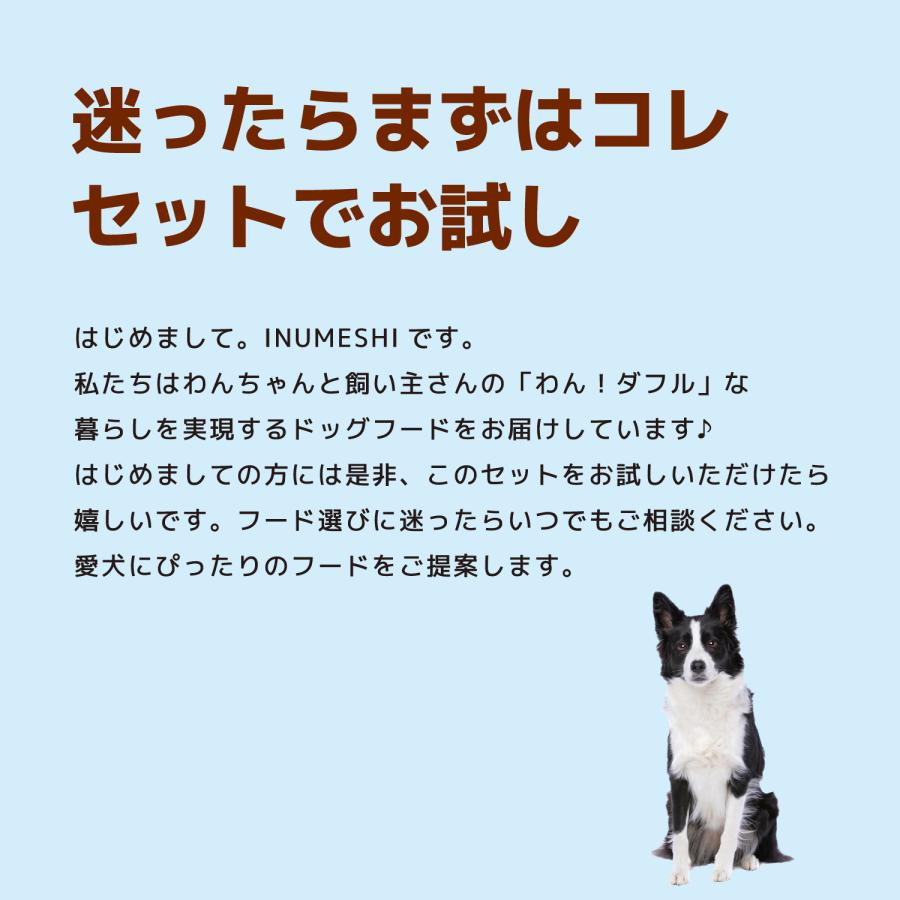 INUMESHI トライアルセット 成犬用 中・大型犬用 |  | 02